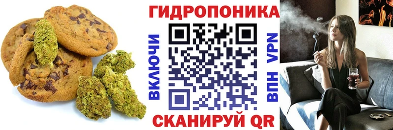 Canna-Cookies марихуана  купить наркотик  Ардатов 