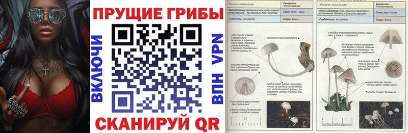 МЕГА онион  Ардатов  Псилоцибиновые грибы мухоморы 